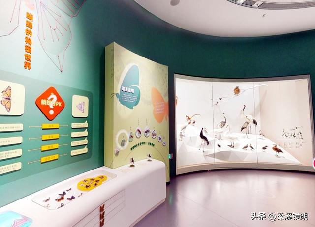 五九时节，观扬州大运河博物馆（下）