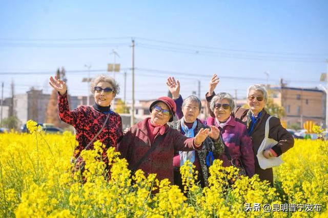 华裔老人杨晶在晋宁的康旅生活