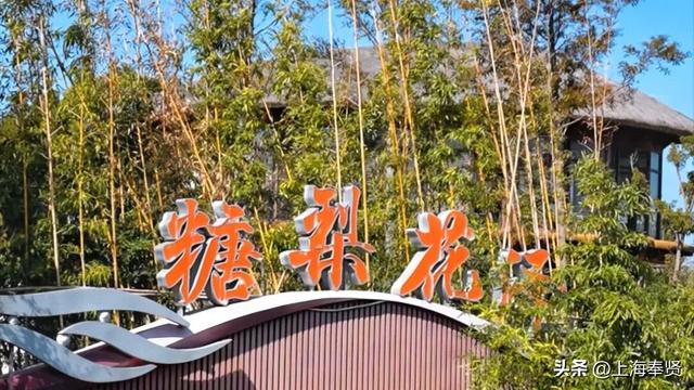 “美美与共”秋日探访季之“美景”稻香篇