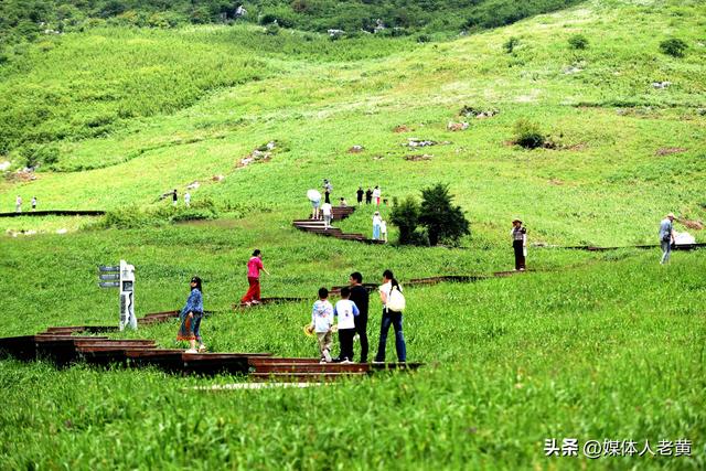 六盘水“贵州屋脊”韭菜坪清凉气候吸引各地游客赏景避暑游