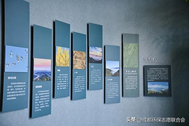 环保志愿 “趣”游蓉城 | 在自然课堂里种下生态保护的“童心种子”