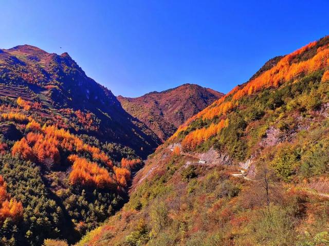 让我再看你一眼🧡