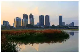 南阳有望合并的2个区，一旦成功，南阳将脱离三线城市图片