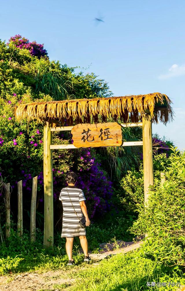 9月，广东潮州雾岽茶园“巴西牡丹”绽放，一场视觉嗅觉的盛宴