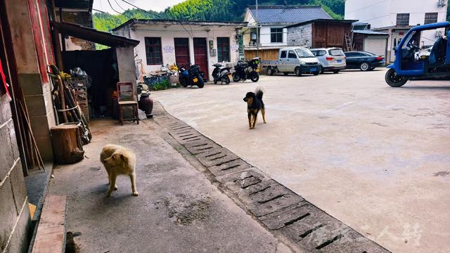 皖浙摩旅二人转——谷丰村篇