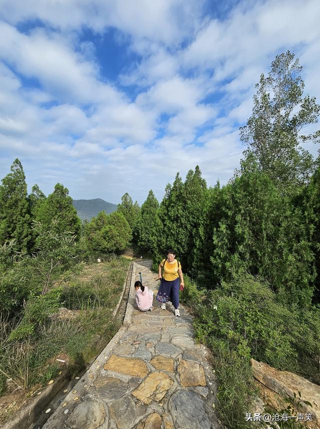 山里有什么，有高山起伏，有连绵大山，有绿树成荫，有台阶连绵