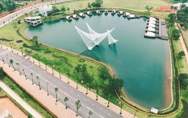 【萌狮叫醒服务】上线!快来给“最萌查房官”取个神仙名字吧!