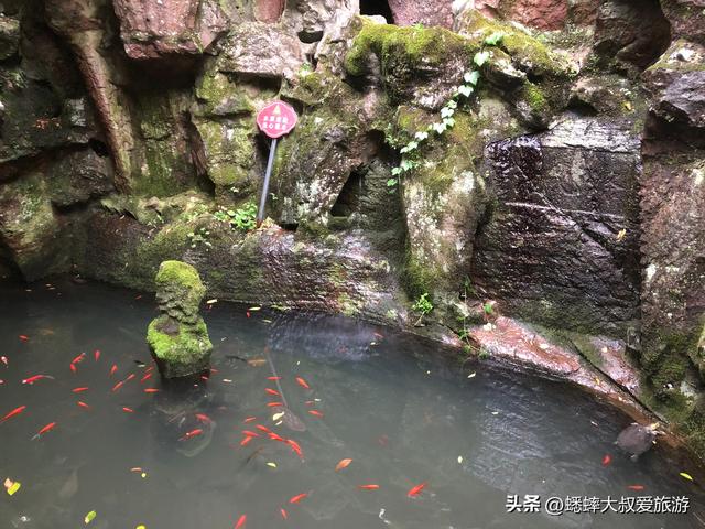 仅限徒步的杭州“神仙道观”真棒，门票5元，可涨知识，可充电！