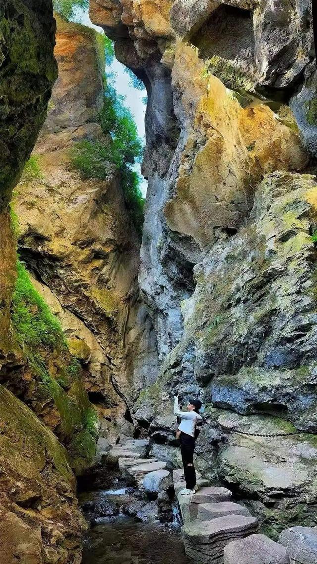 【联动宣传】在20℃的清凉中寻觅定西夏末的美好