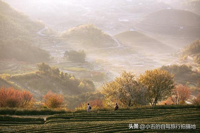 宁波四明山 2 日秋游攻略：红枫水杉 + 自驾避坑