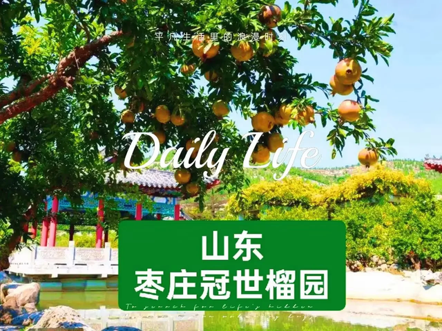 这儿是誉满华夏的冠世榴园，难以忘却的是曾经的硝烟弥漫