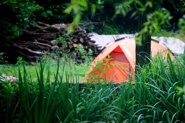 “趣”南川，野一“夏”！南川露营地全攻略，藏着夏日清凉答案→