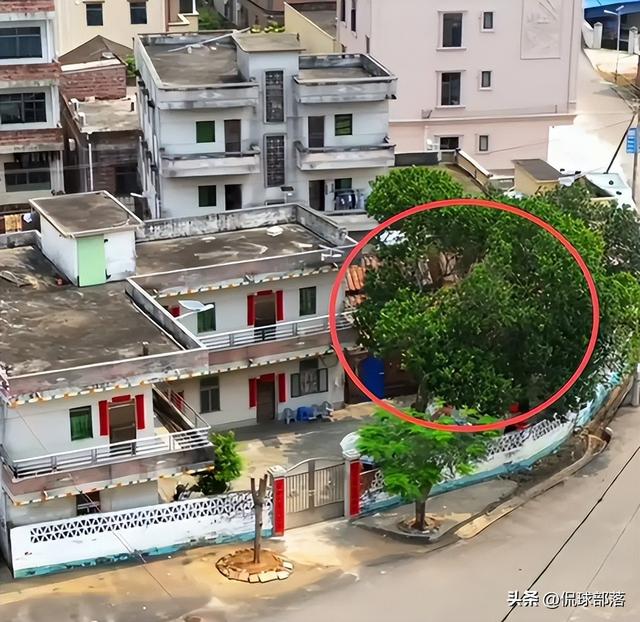 全红婵第二套房设计图曝光	，院子划开大伯家界限，内幕引人猜测