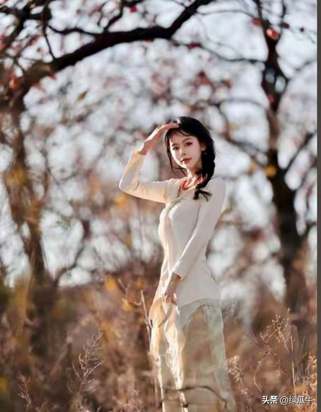 有人说，不就是个彬州烂怂柿子，有啥好拍！