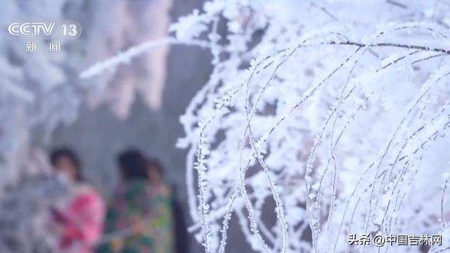 活力中国调研行丨雪道骑行、山顶露营 这里的滑雪场夏日不打烊！