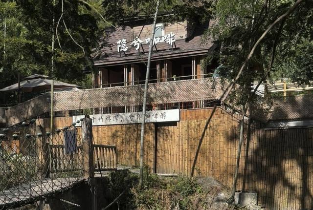 郁郁银杏无非般若，青青溪石尽是法身：宜春南惹古村印象（聂朋