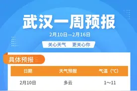 天气有变！后天武汉迎来新一轮降水图片