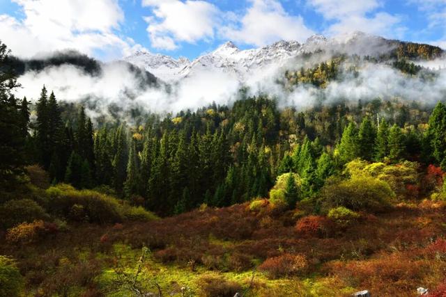 走不出这画了，我已被平武的彩林迷倒！