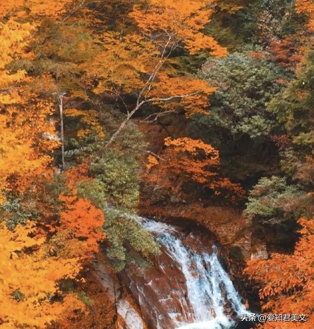 十一月，赴一场深秋之约