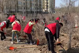 今年哈尔滨市香坊区计划新植1.7万株树木图片