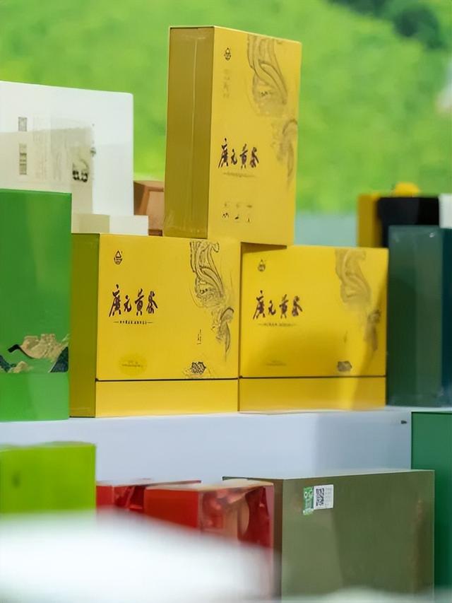 山水文脉勾画卷 红色旺苍书新篇