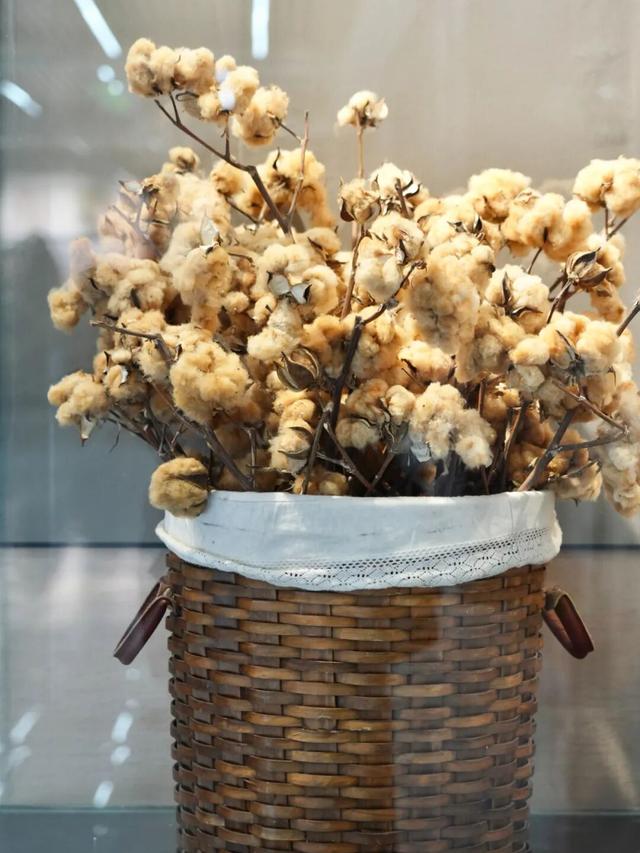 一份乌鲁木齐博物馆地图