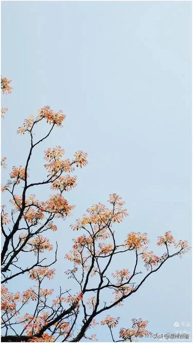 走走浙江这条被遗忘的千年古道,揭开越王古道古村落的神秘面纱!