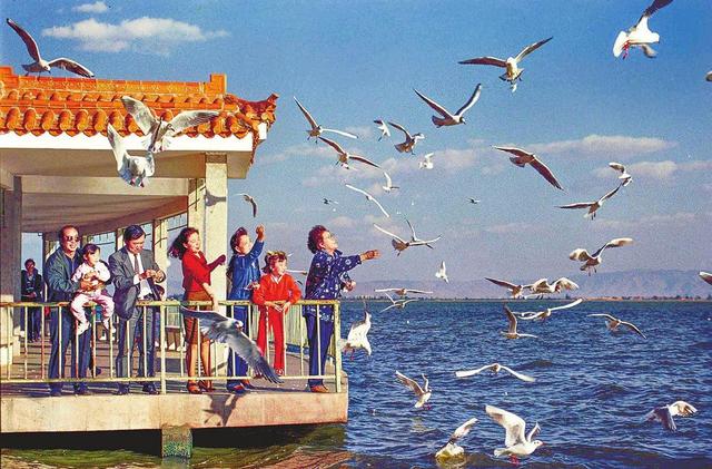 昆明人刻在DNA里的海埂公园，5个亿大改造！以后要大变样了