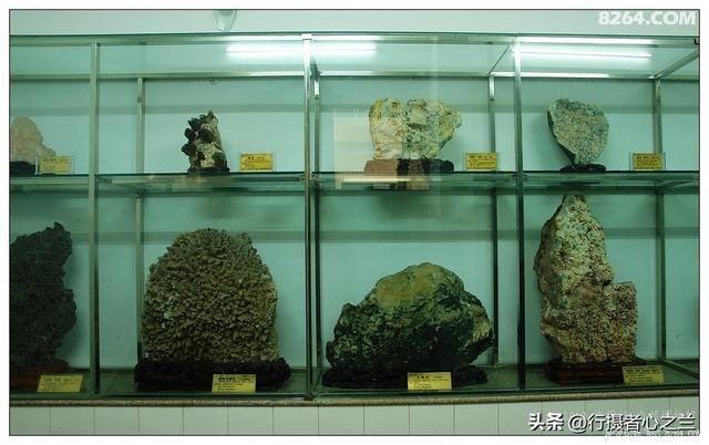 山东行游影记（31）—平邑天宇自然博物馆（六）