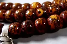 星月菩提和小叶紫檀，都有“娇贵病”，一不小心就给你“脸色”图片