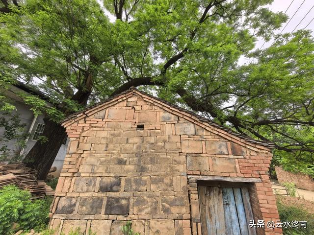 蓝田这村子人才济济，当朝正三品官员都不算啥，有传承就是不一样