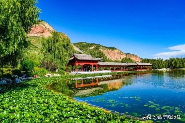 北山美丽园72亩孔雀草花朵绽放