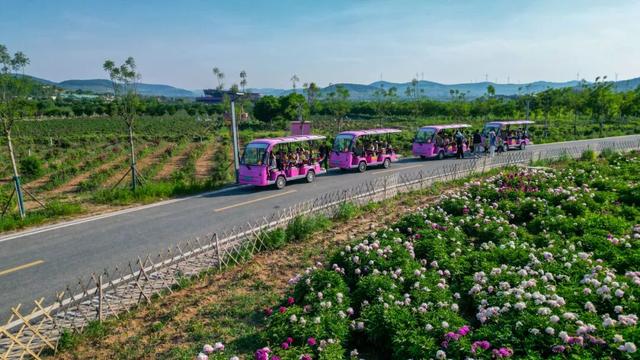 中医药、温泉、养生阿胶，济南的“康养密码”在这里！