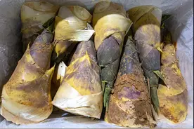 宁德古田县黄田镇：村企联营闯新路 兴业利民促增收图片