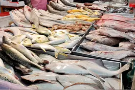 最有营养的4种鱼，建议常做给孩子吃，补脑益智，强免疫，助成长图片