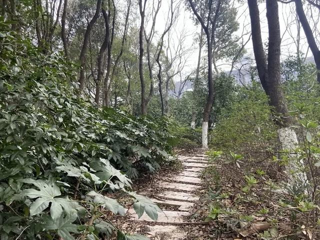 江阴这些园林，你逛过了吗？