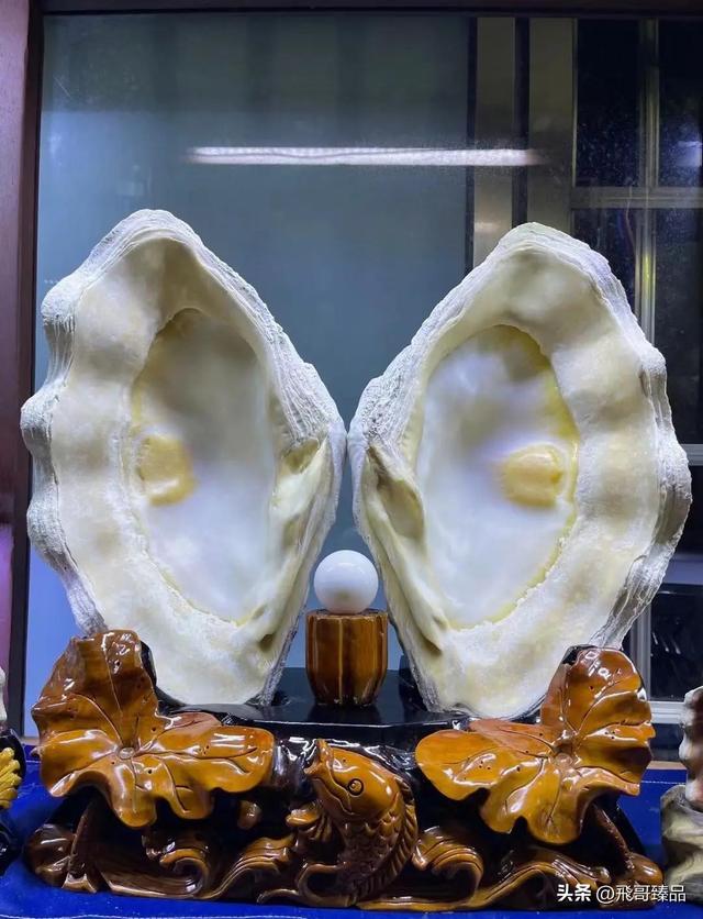 海南旅游避坑！这种“海宝”千万别买！买了就是坐牢！血亏！