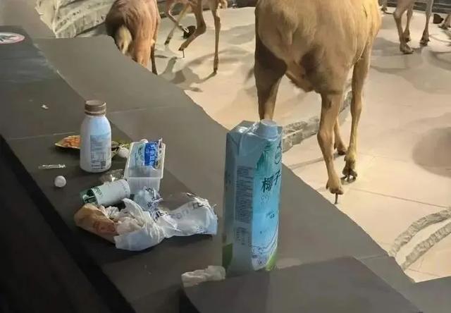 多名孩子闯进博物馆禁区，家长在旁鼓励：拍张照！