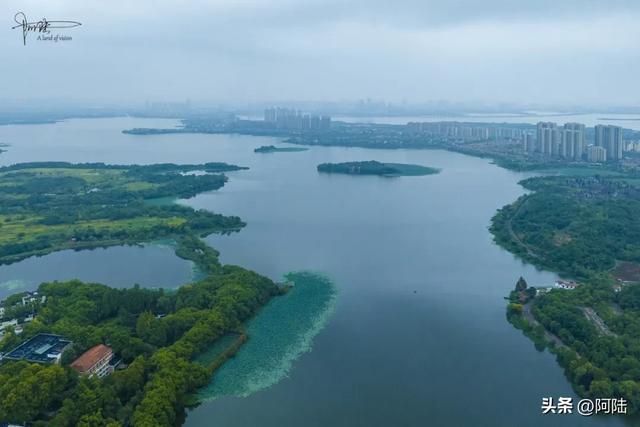 武汉的知音湖和后官湖究竟谁是大谁是小?把我这外地佬搞晕了