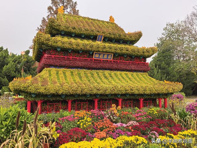 秋风独宠一园菊，晚来香艳出樊篱——北京北海公园2025年菊花展