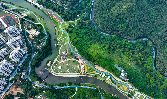 负氧离子爆表！绶溪荔林、郊野溪谷、莆阳福道，解锁莆田 “森” 呼吸新方式