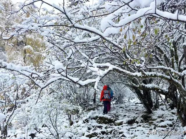 甲依拉措 :一场白雪与彩林的盛宴