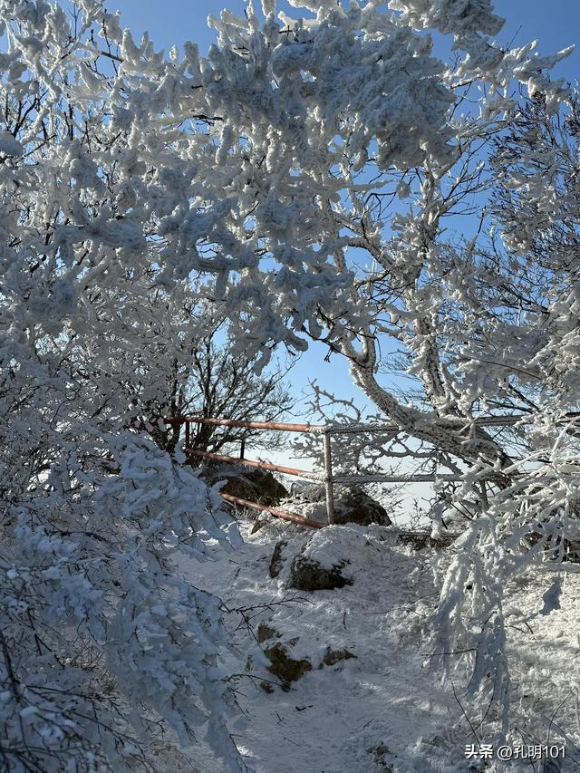寒风瑟瑟雪世界～嵩山峻极峰赏雪记
