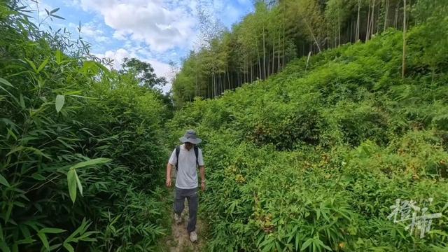 唐朝那条道
