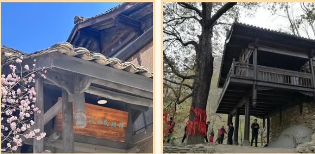 武都各景区优惠福利重磅上线，速囤！