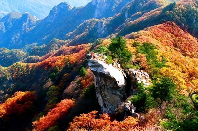 错过等一年！河南金秋限定打卡全攻略