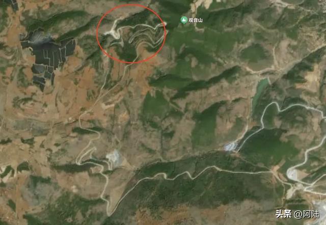 如果你正在大理摆烂,这条被果园包围的乡村小道很值得去跑一跑