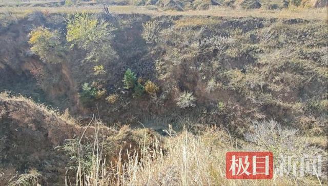 爷爷讲述“4岁女童失联44小时”始末：孙女爬出车窗找奶奶滚下10米深山沟，或因沟内背风在寒冷天气存活