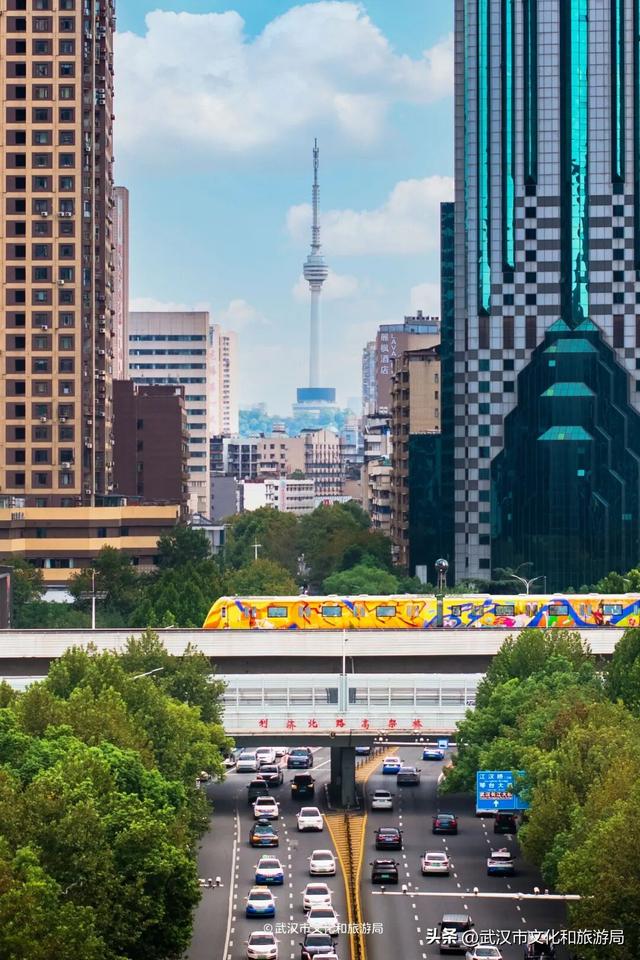 今天起免费预约，限时7天！