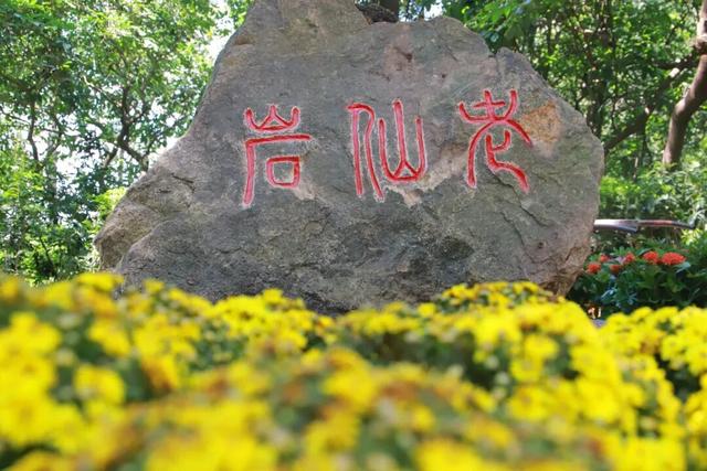 打卡宝藏景区东莞观音山，邂逅仙山福地，一键get秋日寻仙缘之旅